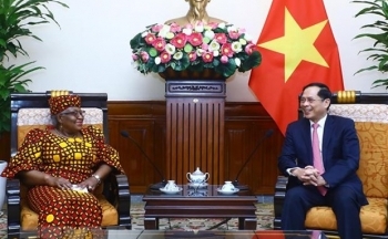 Bộ trưởng Ngoại giao Bùi Thanh Sơn tiếp Tổng Giám đốc WTO