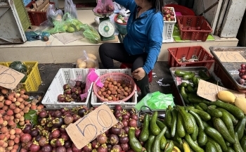 Măng cụt chín trúng giá nhờ món “hot trend”