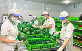 Thêm đơn hàng nhờ sản xuất xanh