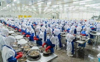 Liên minh xây dựng ngành tôm phát triển, xuất khẩu bền vững