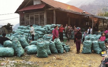 Giá nông sản