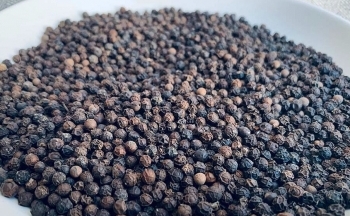 Ai Cập và Thổ Nhĩ Kỳ ồ ạt mua ‘vàng đen’ của Việt Nam