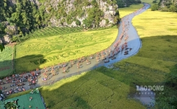 Hàng nghìn du khách ngồi thuyền ngắm đồng lúa như tranh vẽ ở Ninh Bình