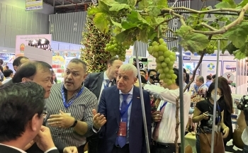 Kết nối doanh nghiệp hướng đến xuất khẩu nông sản bền vững