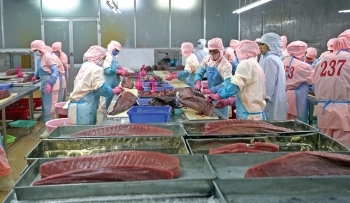 Mở rộng các FTA để tăng lực xuất khẩu cho hàng Việt