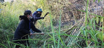 Sự bất cẩn dẫn đến hàng chục vụ cháy rừng trên địa bàn tỉnh Lạng Sơn