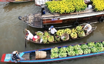 Du lịch miệt vườn, sông nước Nam Bộ