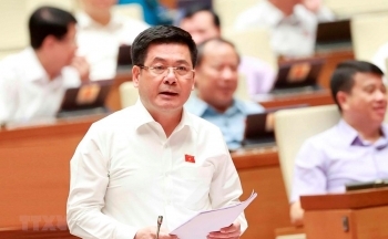 Cơ chế giá cho các dự án năng lượng tái tạo chuyển tiếp là phù hợp