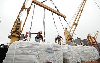 Nghịch lý xuất khẩu gạo tăng giá kỷ lục, sao doanh nghiệp thua lỗ?