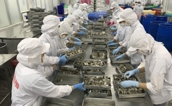 Tín hiệu lạc quan cho xuất khẩu thuỷ sản