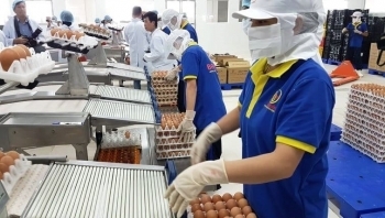 Gỡ khó để doanh nghiệp không ngại thành lập