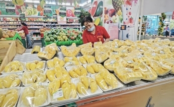 Vì sao sầu riêng xuất khẩu của Thái Lan bỏ xa Việt Nam?