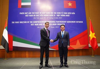 Thúc đẩy hợp tác kinh tế, thương mại, năng lượng giữa Việt Nam và UAE