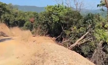 Phó Thủ tướng yêu cầu làm rõ vụ phá rừng tự nhiên ở thị xã Đức Phổ, tỉnh Quảng Ngãi