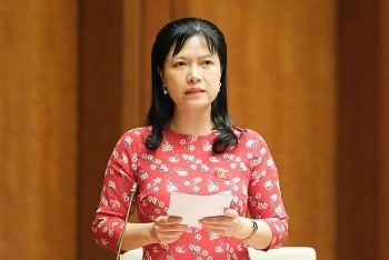 EVN trả lời đại biểu Quốc hội về khoản lỗ 26.000 tỷ đồng