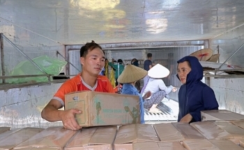 Hòa Bình xuất khẩu lô hàng mía tươi thứ hai sang thị trường Hoa Kỳ