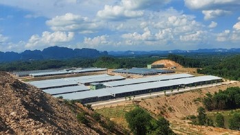 “Ông lớn” Xuân Thiện xin xây nhà cao tầng để nuôi heo ở Thanh Hóa