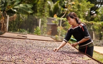 Bài 2: Liệu chỉ toàn thách thức?