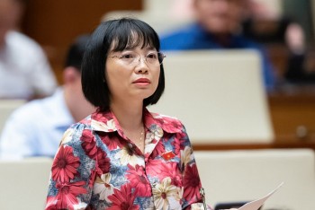 Đại biểu Quốc hội nói gì về câu chuyện tiết giảm điện và giá điện?