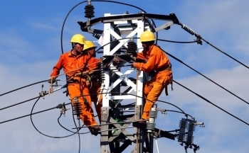 Đại biểu Quốc hội: Phải đồng hành cùng các doanh nghiệp triển khai nhanh các dự án