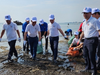 Giải pháp cho ô nhiễm nhựa, phục hồi kinh tế xanh