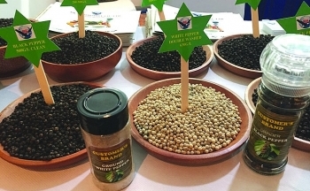 Trung Quốc tăng mua giúp giá hồ tiêu hồi phục