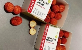 Việt Nam có vải thiều không hạt, giá bán từ 250.000 đồng/kg