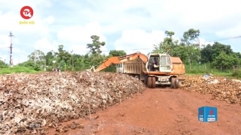 Chương trình truyền hình COP 26 được lấy theo tên gọi của Hội nghị Liên hợp quốc