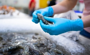 Mỹ, EU, Trung Quốc giảm mua thủy sản Việt Nam