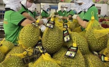 Xuất khẩu rau quả ngược dòng tăng 39%