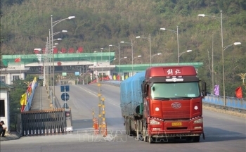 Nắm chắc yêu cầu để thúc đẩy xuất khẩu