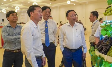 Phát triển giá trị cây nho và sản phẩm từ nho tỉnh Ninh Thuận