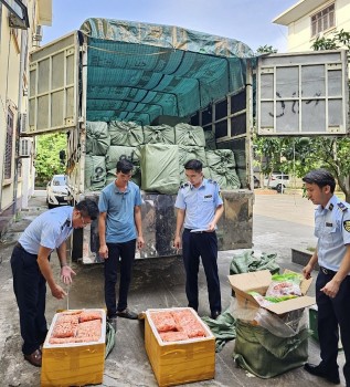 Bắc Ninh: Bắt giữ gần 03 tấn thịt vịt và trứng gà non đông lạnh