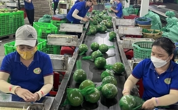 Thương mại điện tử - giải pháp “vàng” cho nông sản khu vực đồng bằng sông Cửu Long