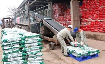 Kim ngạch xuất khẩu giảm, doanh nghiệp phân bón tập trung mở rộng thị trường