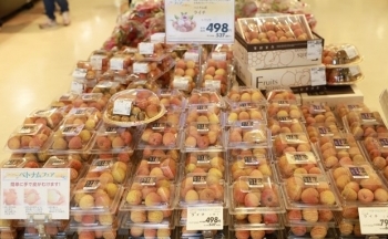 Tuần hàng Việt Nam: Kết nối doanh nghiệp với người tiêu dùng Nhật Bản