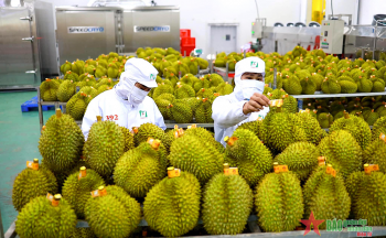 Nâng cao chất lượng hàng hóa để khai thác thị trường Trung Quốc