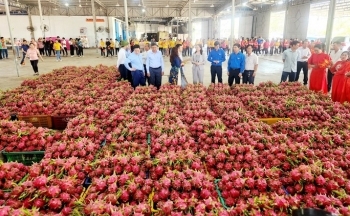 Mở cửa cho hàng Việt Nam sang Trung Quốc