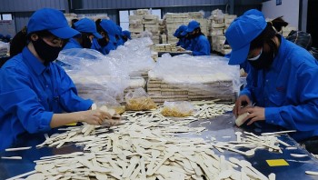 Bắc Kạn: 6 tháng đầu năm 2023, kim ngạch xuất nhập khẩu đạt 11 triệu USD