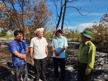 Sau vụ diễn tập chữa cháy trong rừng phòng hộ ở Quảng Nam: Sẽ chọn địa điểm diễn tập cố định