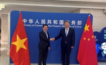 Việt Nam và Trung Quốc tăng cường thúc đẩy hợp tác kinh tế, thương mại