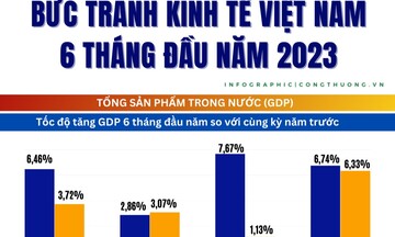 Infographics | Nhiều gam màu sáng trong bức tranh kinh tế Việt Nam 6 tháng đầu năm 2023