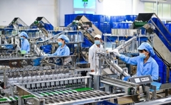 8,8 nghìn doanh nghiệp giải thể sau 6 tháng đầu năm