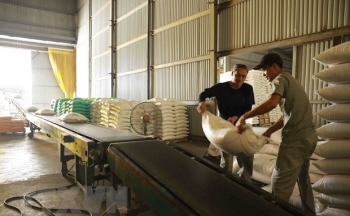 Việt Nam tiếp tục là nhà cung cấp gạo hàng đầu của Philippines
