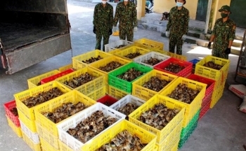 Ngăn chặn vận chuyển, buôn bán trái phép gia cầm qua biên giới
