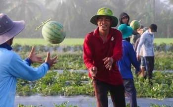 Logistics - Điểm mấu chốt quyết định giá trị của nông sản Việt