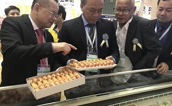 Xuất khẩu tôm sang Mỹ dự báo sẽ phục hồi trong tháng 7