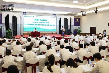 Tập đoàn Hóa chất Việt Nam: Vượt khó, nỗ lực đẩy mạnh công tác tái cơ cấu