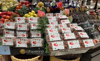 Sau Mỹ, Nhật, vải thiều Bắc Giang đổ bộ Thái Lan