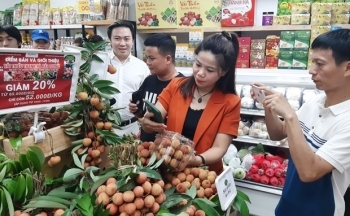 Các website thương mại điện tử không đăng ký sẽ bị phạt nặng